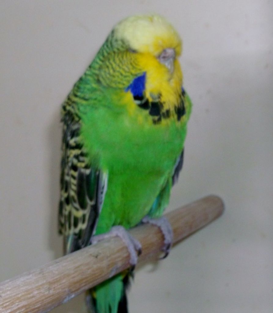 2014 009.JPG